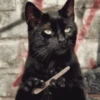 Gatos y más gatos 🐈🐈‍⬛😻 9