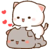 New Peach Goma gif 6