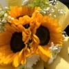 Flores Amarelas 🌻🌼 10