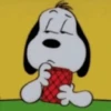 🐾 Snoopy Snoopy 🦴🏠 15