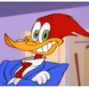 PICA PAU 🪾 WOODY WOODPECKER 16