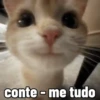 conte - me tudo