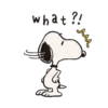 🦴 Snoopy Animados 🦴🏠 12