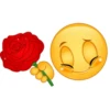 Emoji animados 9