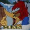 PICA PAU 🪾 WOODY WOODPECKER 21