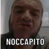 Gifs sceme 20