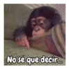 No sé que decir...