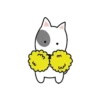 I'M CUTE BULL TERRIER🐾✨ 11