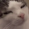 Aaaaa 22