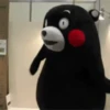 💫 Oso kumamon cute ❣️ 29