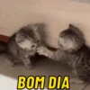 BOM DIA