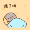 Dudu bubu 30