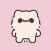 Myaowl cat  10