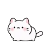 Animasi kucing lucu 14