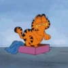 Garfield 6