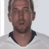 Fifa world cup 30