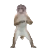 Dancing monkey 🐒 7