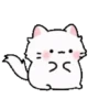 Animasi kucing lucu 8