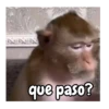 que paso?