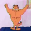 Garfield 12