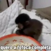 🐒 Macaco | Deboche Sincerão 15