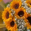 Flores Amarelas 🌻🌼 7