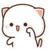 Kucing putih 13
