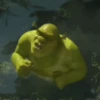 💚•SHREK~GIFS•💚 12