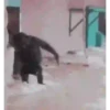 Dancing monkey 🐒 8