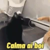 GATINHOS ANIMADOS🐈😹 9