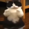 Memes do TikTok 😋🫦 19