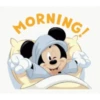 Mickey mouse 20