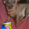Reacciones de Tiktok 😄 9