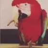 🦜 LORITOS PAL CHAT 🦜 7