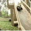 Pandas Fofinhos 🐼 23