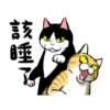Michis 7