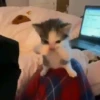 Вирусные видео из TikTok ✨ 20