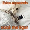 Risadas e Engraçadas 🤣 23