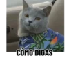 CÓMO DIGAS.