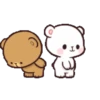 Beruang gemuy 13