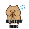 NO ME ESTOY RIENDO