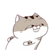 Stiker GIF Kucing Lucu 6