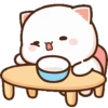 🍑 Gatos Peach y Goma 😻🫶🏻 16