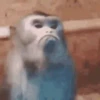 Punch monkey mono macaco 11