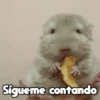 Moods Animalitos 7