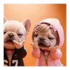 Perro Pibble Tiktok 🐶 ❤️ 6