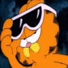 Garfield 20