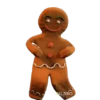 Is.zdio