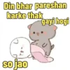 Din bhar pareshan karke thak gayi hogi so jao