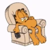Garfield 10